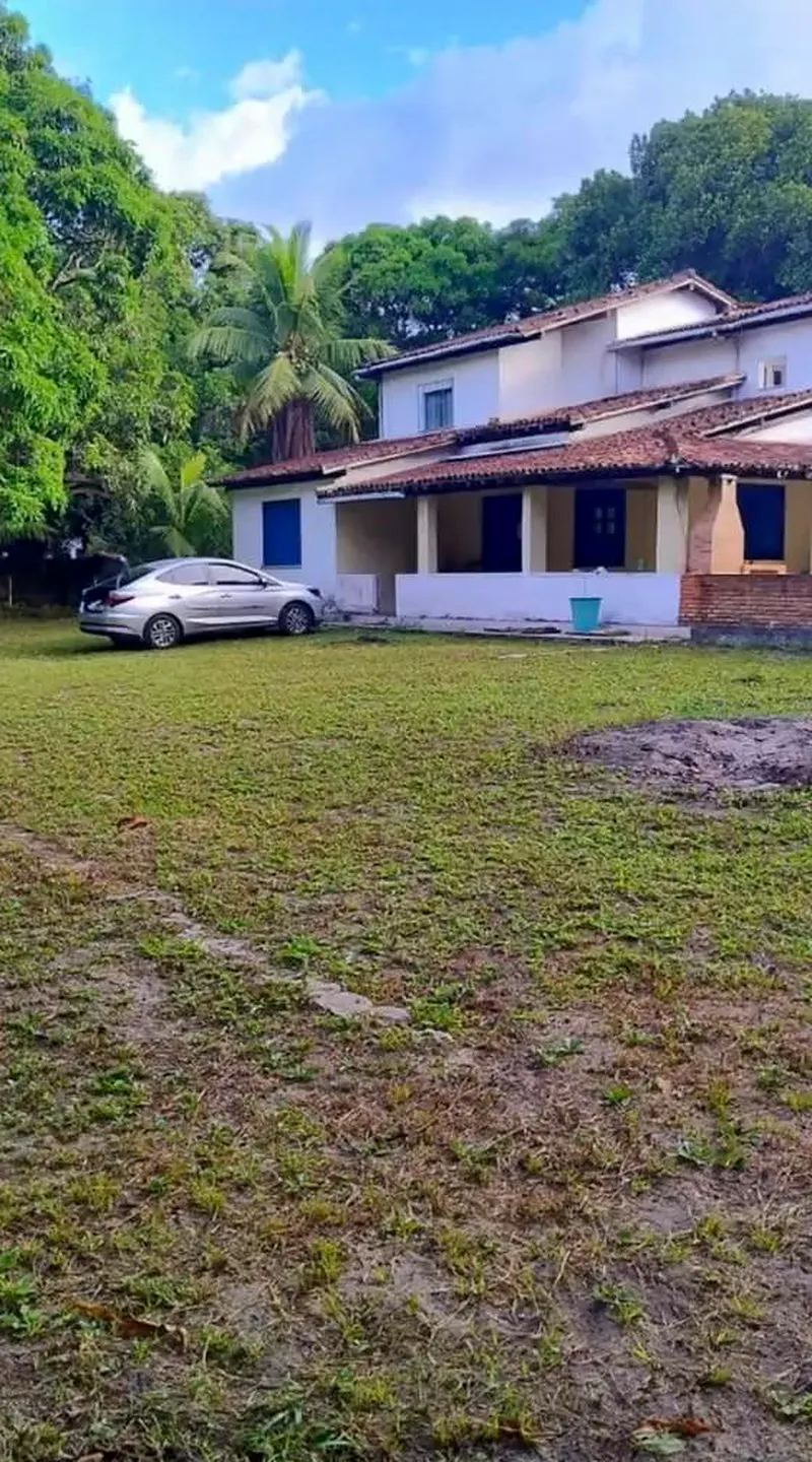 A casa do sítio vista do gramado, com coqueiro e mata ao fundo