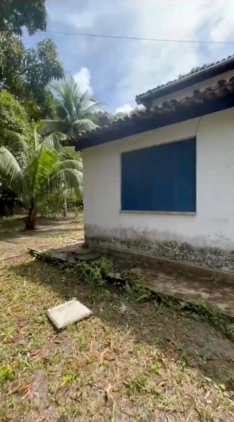 A casinha de parede branca e janela azul, com coqueiro ao lado